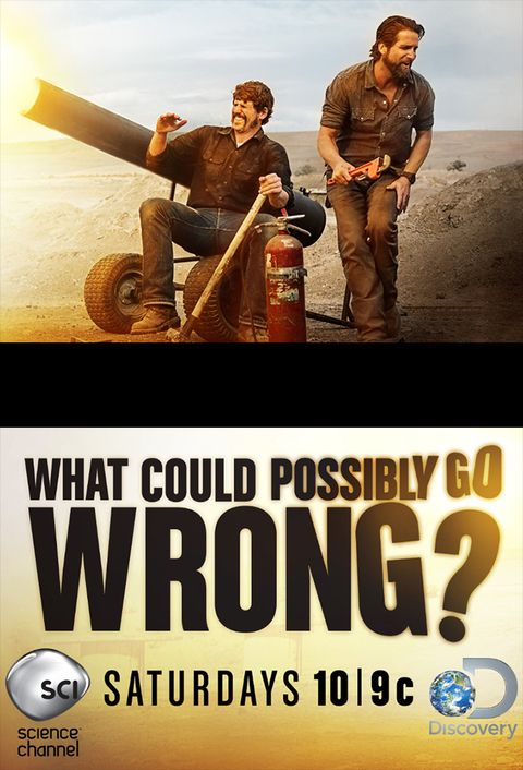 Что могло пойти не так? / What Could Possibly Go Wrong? / 2015