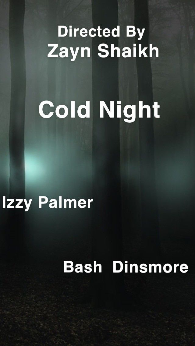 Холодная ночь / Cold Night / 2019