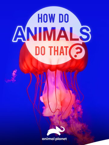 Удивительный мир животных / How do Animals do That / 2019