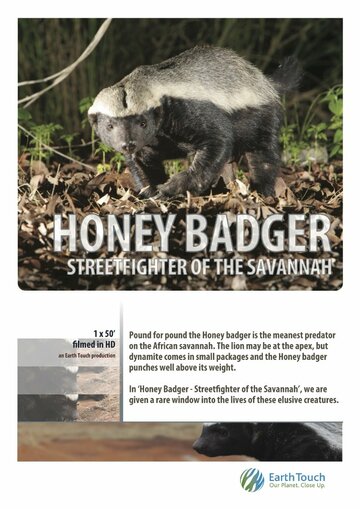 National Geographic. Жизнь одного медоеда / Ultimate Honey Badger / 2013