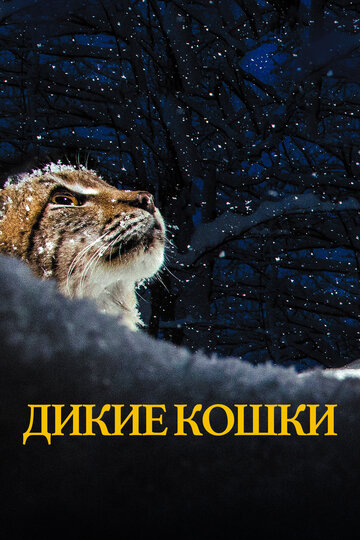 Дикие кошки / Lynx / 2021
